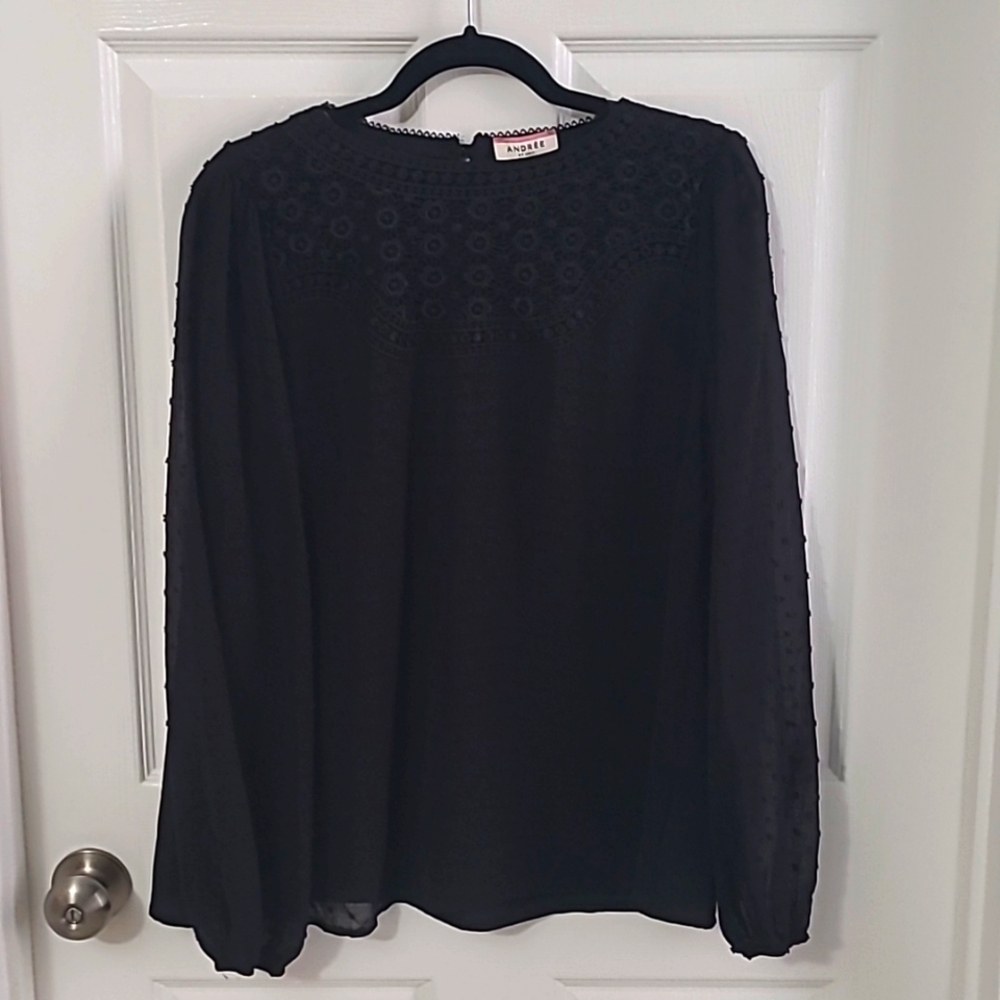 Andree by Unit,  Black long sleeve sheer with embroidered sleeves, size large
